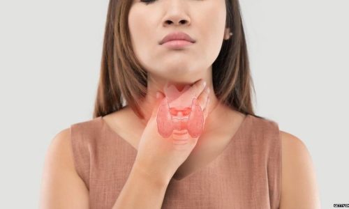 _129833167__123981180_32d6081b-e525-4efe-a57c-7ff58e1fe8e3